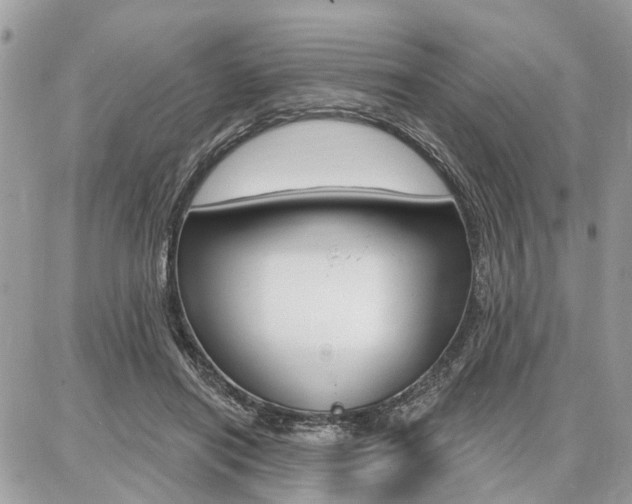 X0000086880454200704160944