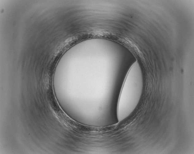 X0000086880496200704160943