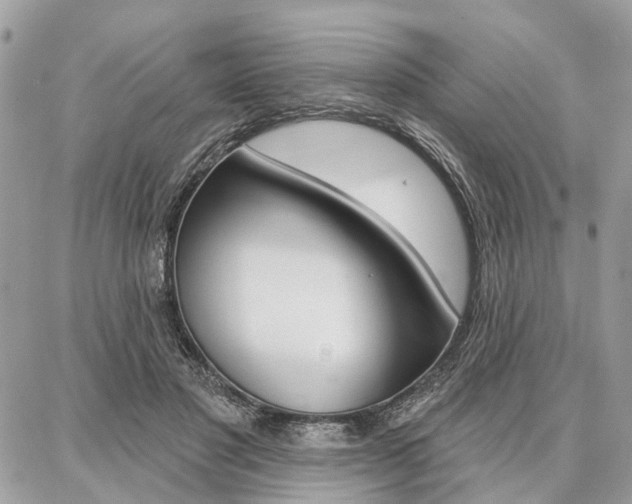 X0000086880501200704160943