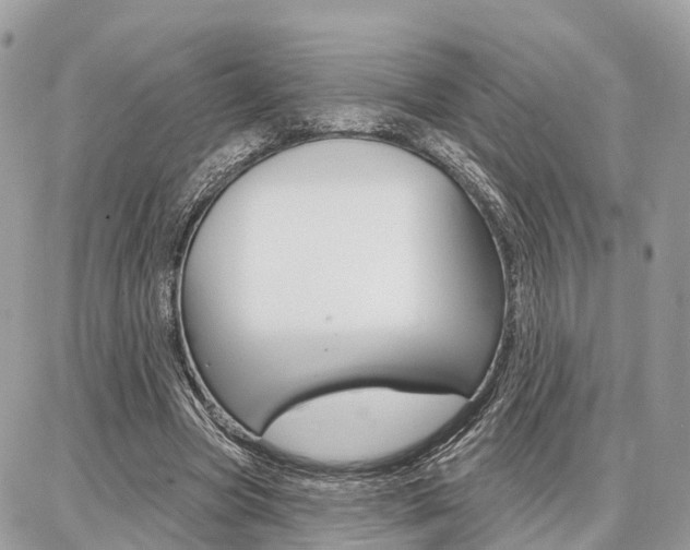X0000086880537200704160942