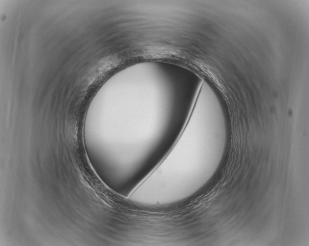 X0000086880539200704160942