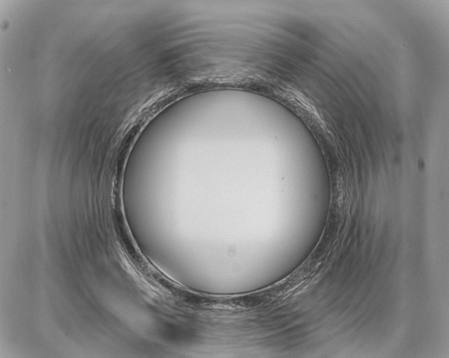 X0000086880542200704160942