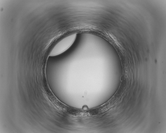 X0000086880543200704160942
