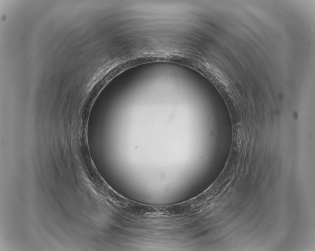 X0000086880544200704160942