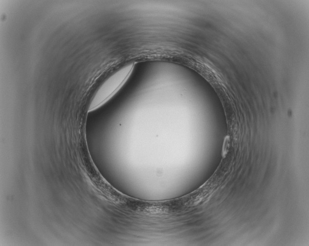 X0000086880546200704160942