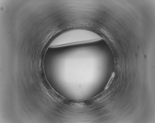 X0000086880548200704160942