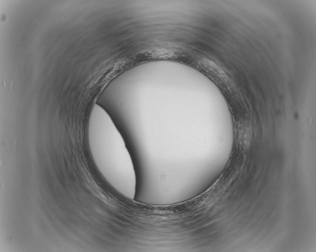 X0000086880549200704160942