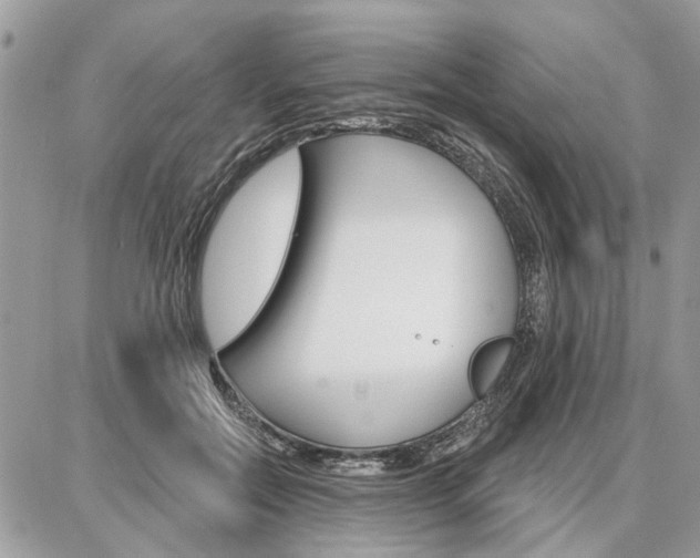 X0000086880554200704160942