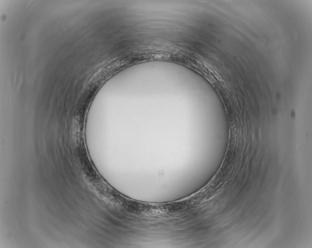 X0000086880594200704160942