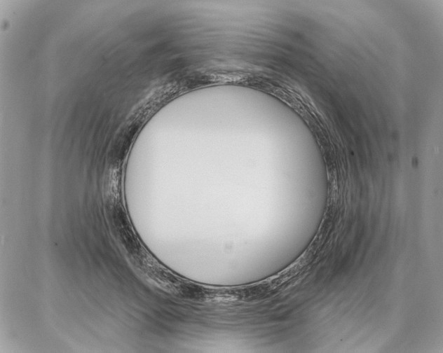X0000086880598200704160942