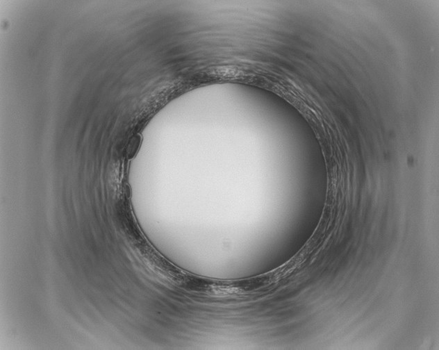 X0000086880605200704160942