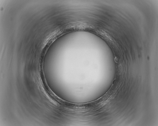 X0000086880638200704160941