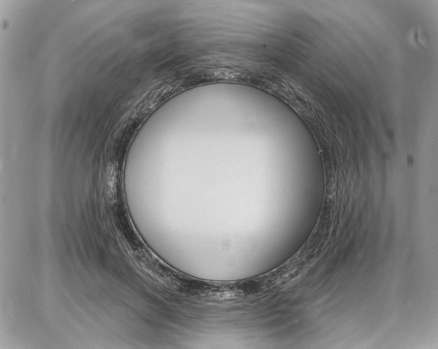 X0000086880646200704160941