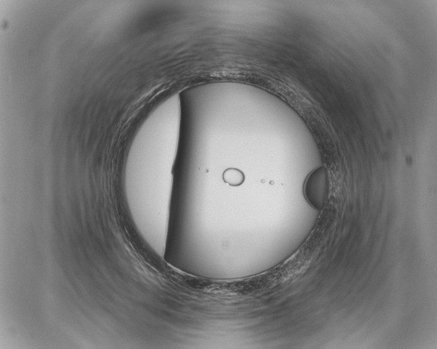 X0000086880648200704160941