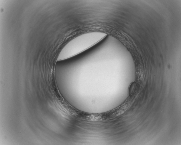 X0000086880660200704160941
