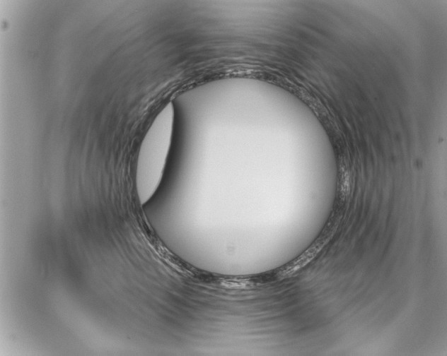 X0000086880666200704160941
