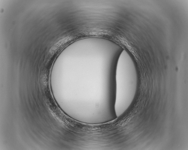 X0000086880683200704160940