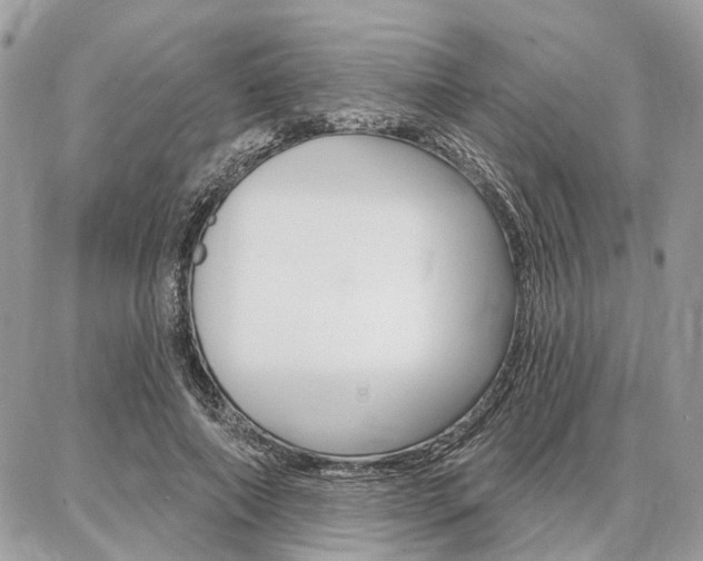 X0000086880690200704160940