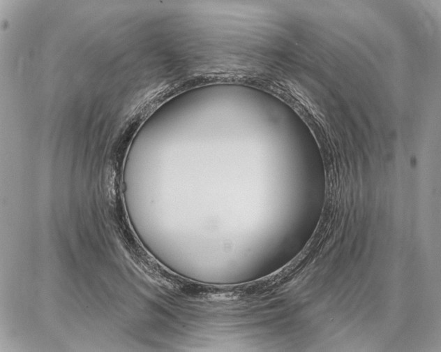 X0000086880692200704160940