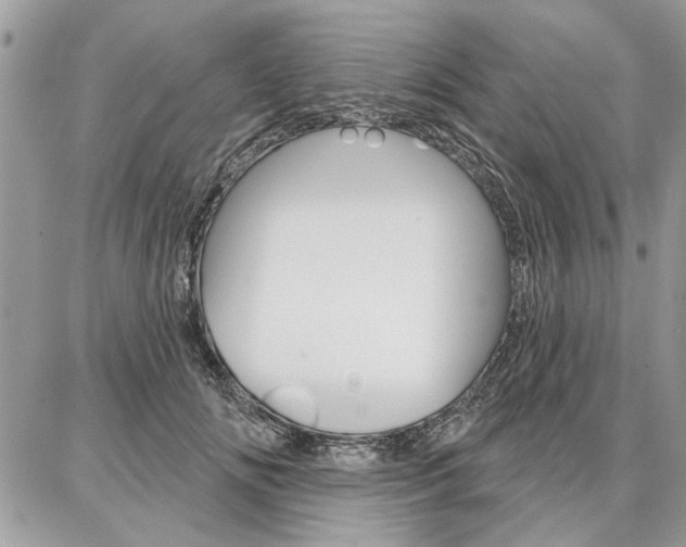 X0000086880702200704160940
