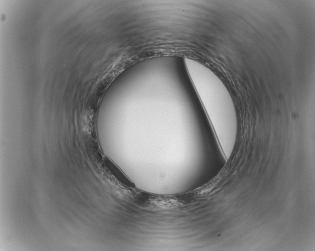 X0000086880712200704160940
