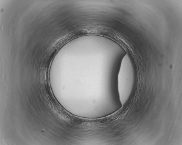 X0000086880733200704160939