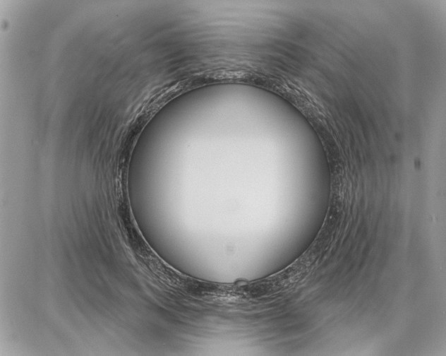 X0000086880743200704160939