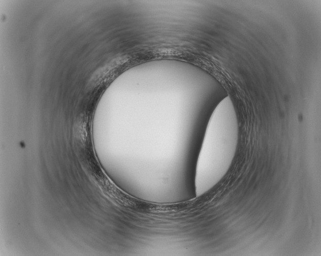 X0000086880746200704160939