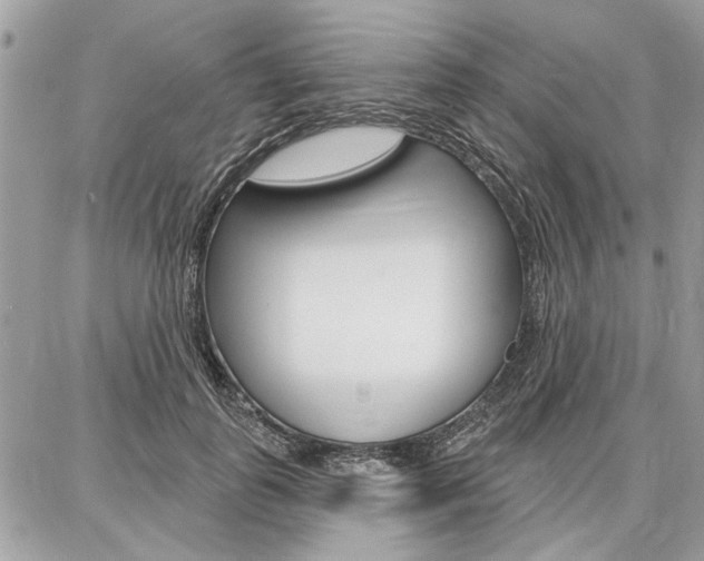 X0000086880747200704160939