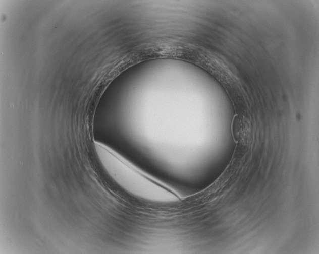 X0000086880748200704160939