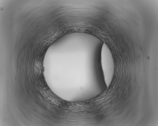 X0000086880772200704160939