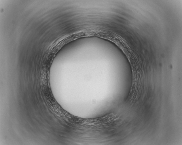 X0000086880773200704160939