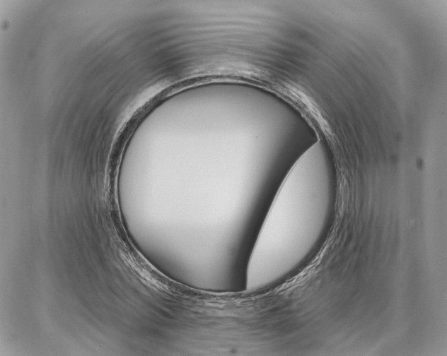 X0000086880780200704160939