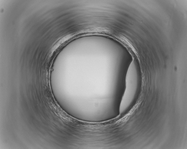 X0000086880781200704160939