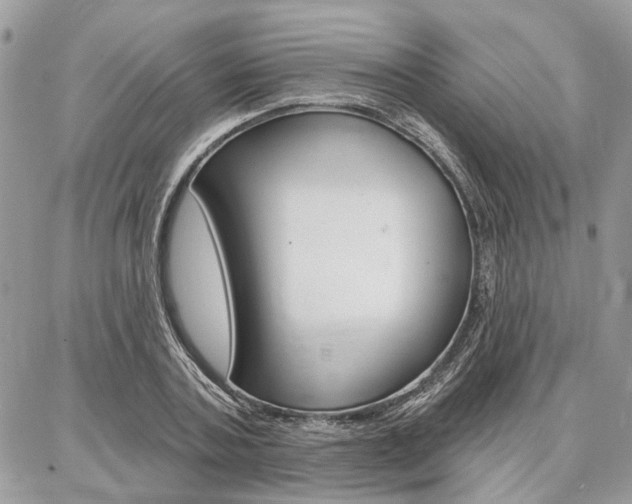 X0000086880787200704160938