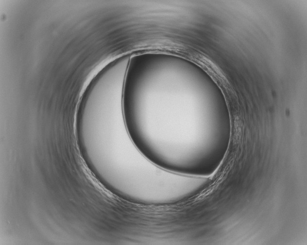 X0000086880788200704160938