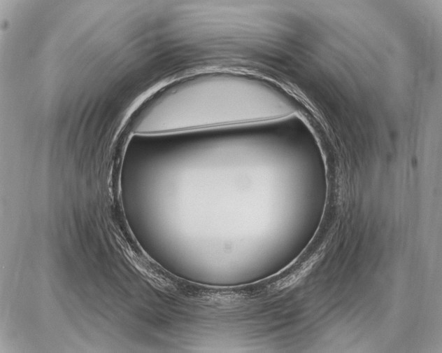 X0000086880830200704160937