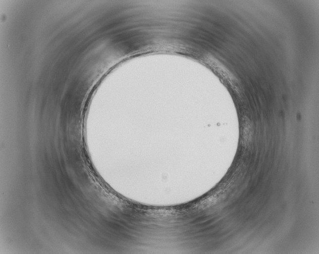 X0000086880836200704160937
