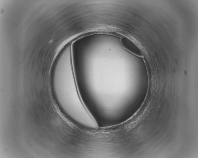 X0000086880838200704160937