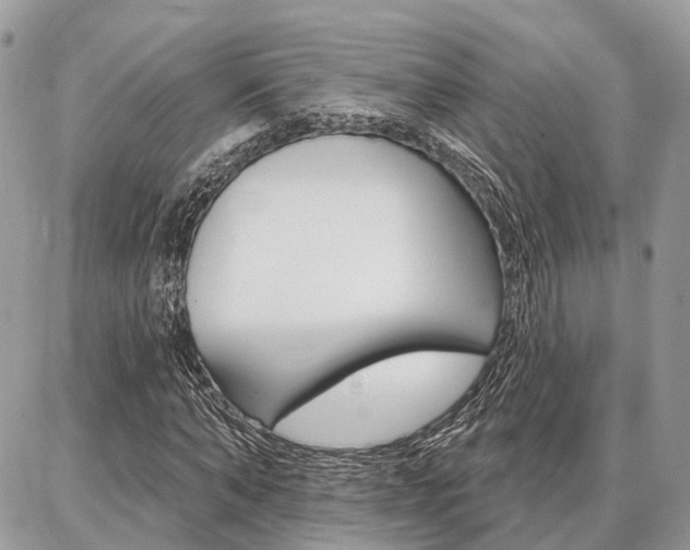 X0000086880870200704160937