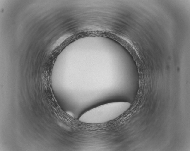 X0000086880871200704160937