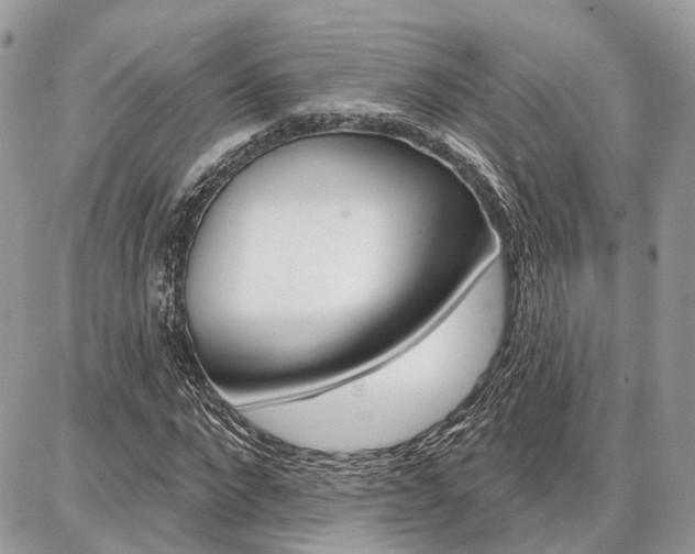 X0000086880872200704160937