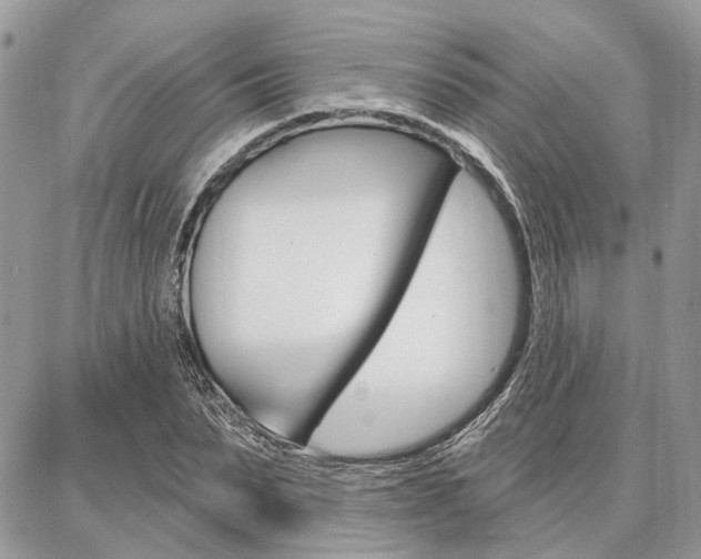 X0000086880879200704160937