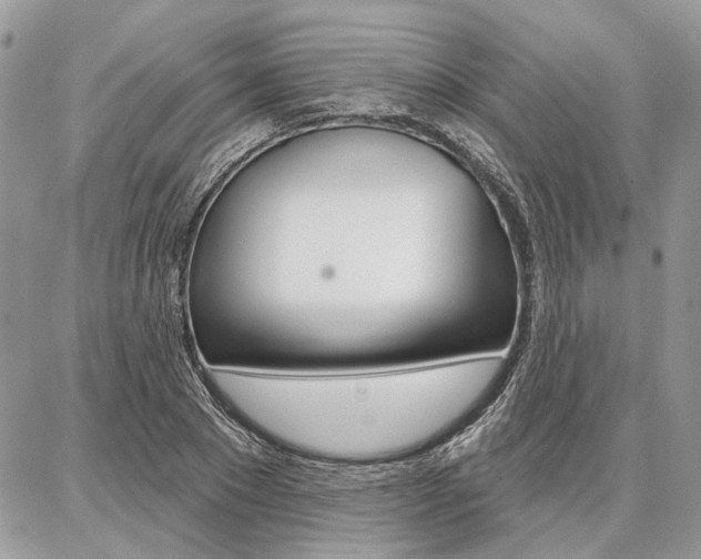 X0000086880881200704160937