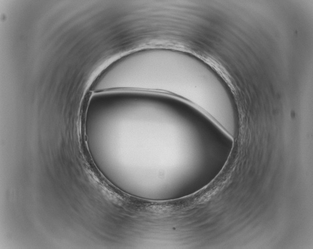 X0000086880888200704160937