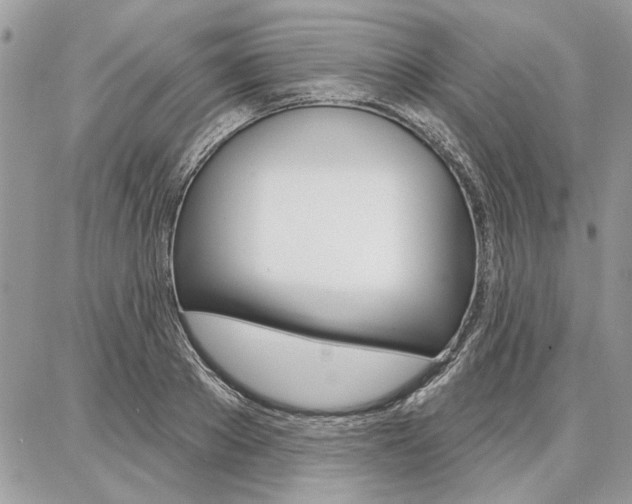 X0000086880889200704160937