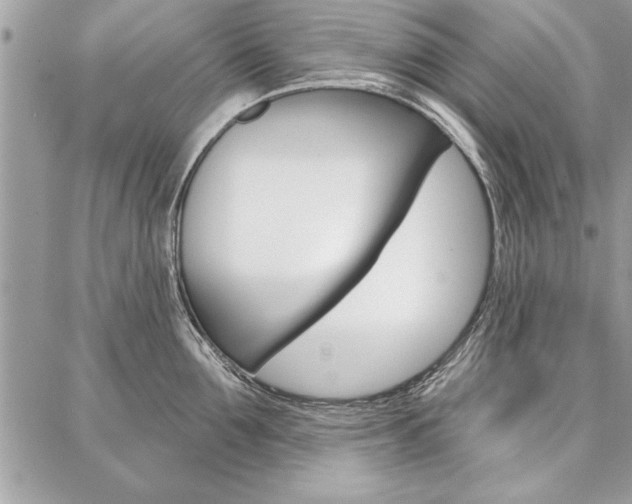 X0000086880907200704160936