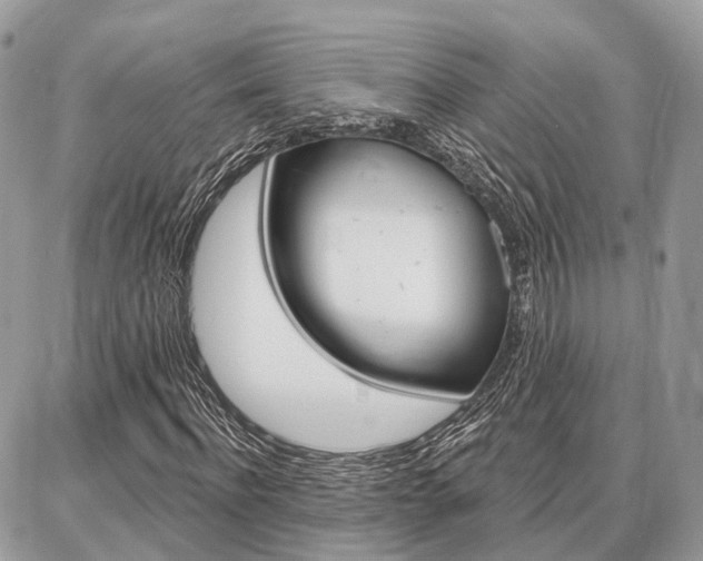 X0000086880916200704160936