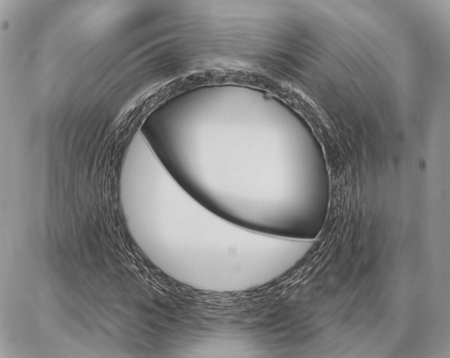 X0000086880919200704160936