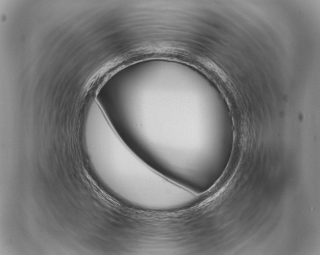 X0000086880922200704160936